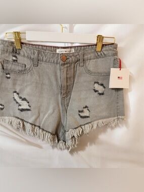 Gray Distressed Frayed Hem Women's Shorts NWT SZ. L